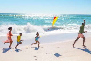 Things to Do in Siesta Key with Kids: A Family Vacation Guide